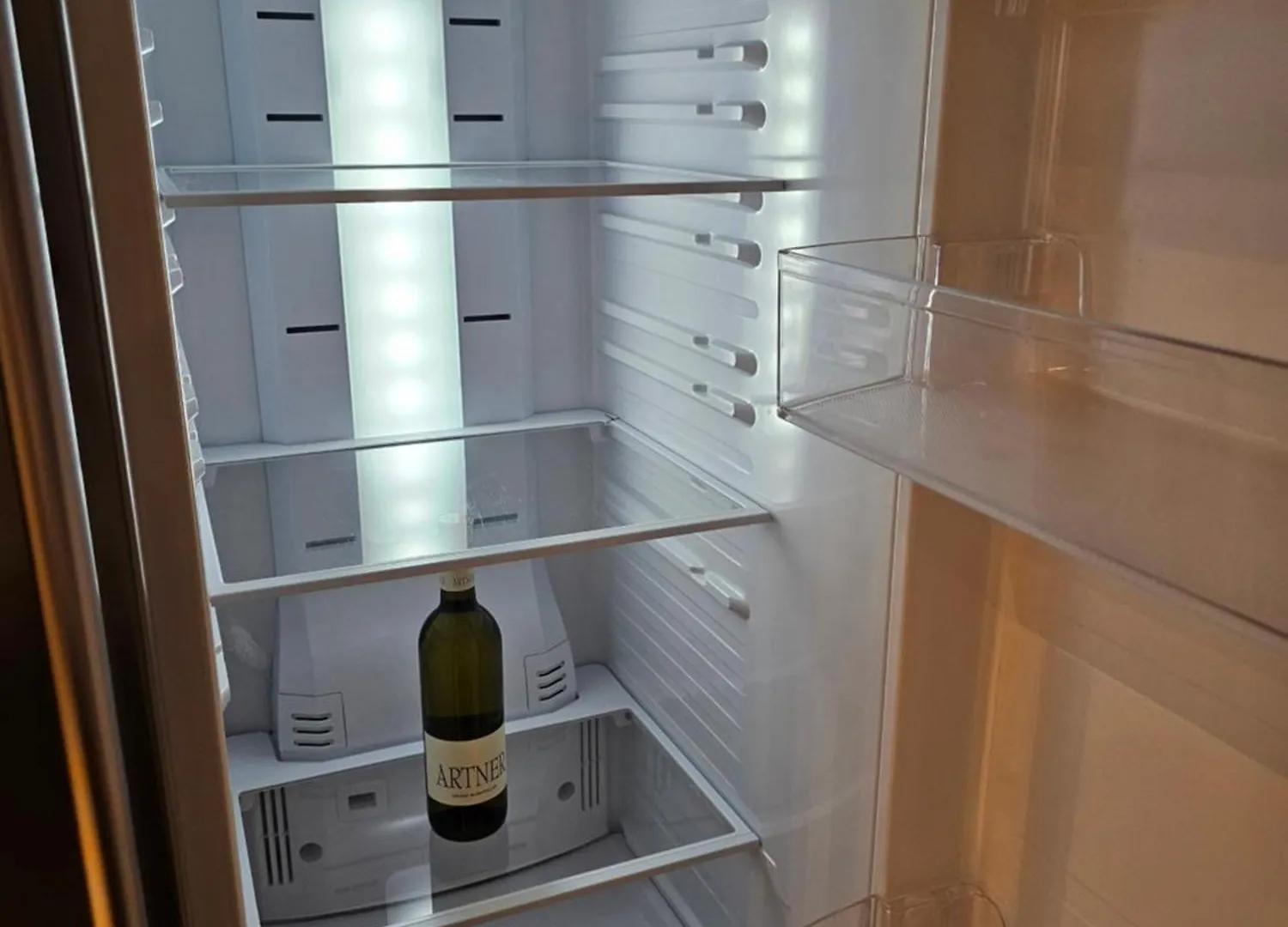 Luxury Apartment With Sauna In City Center Vienna Austria